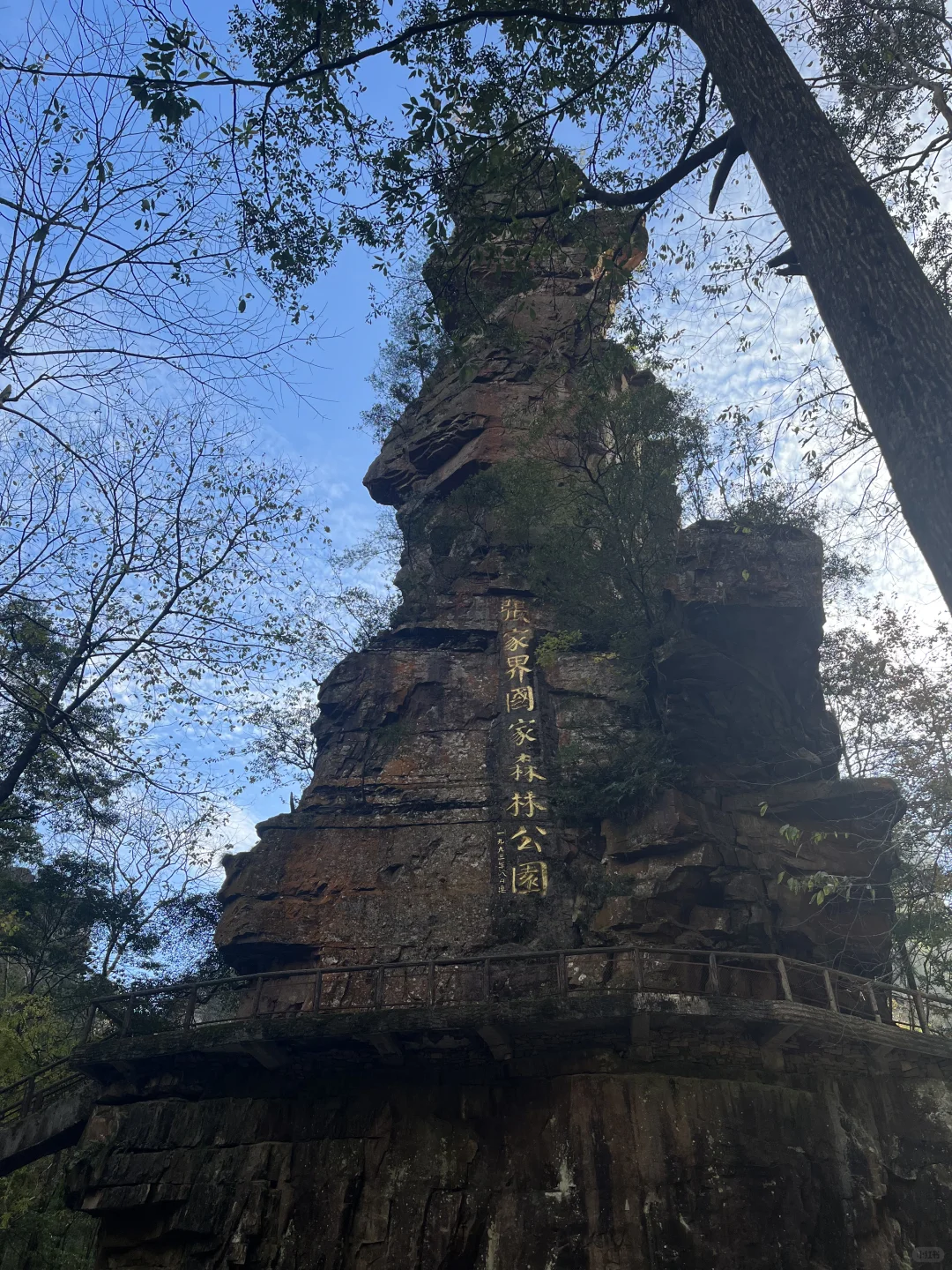 一人2天游玩张家界｜被🐒“抢劫”2次！