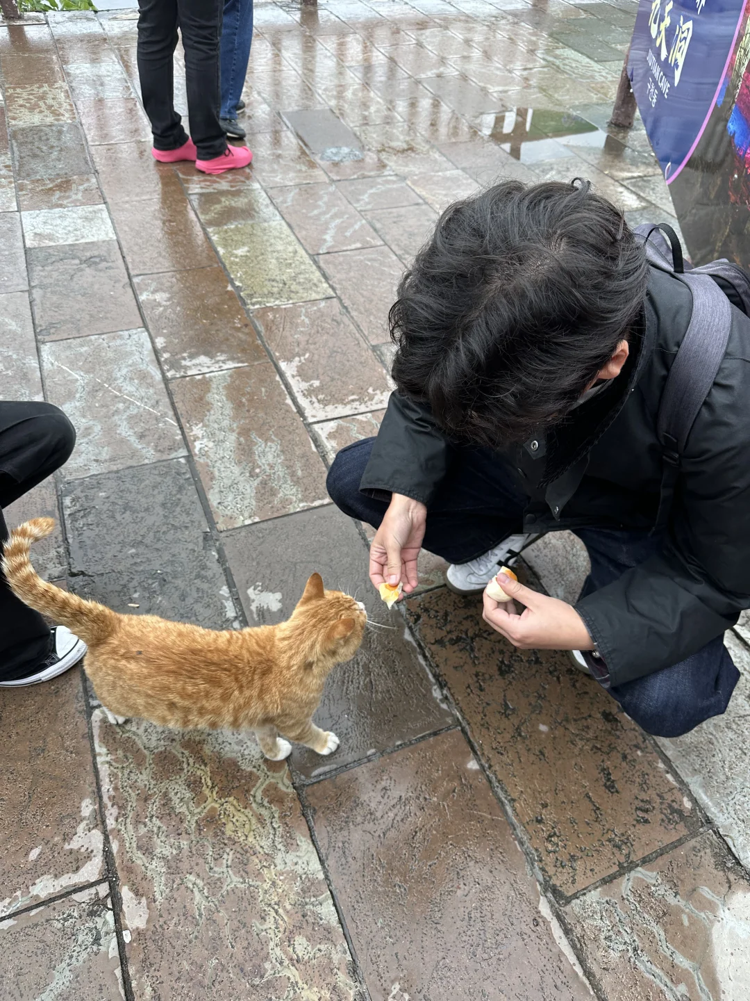 张家界的咪给老外魂都勾走