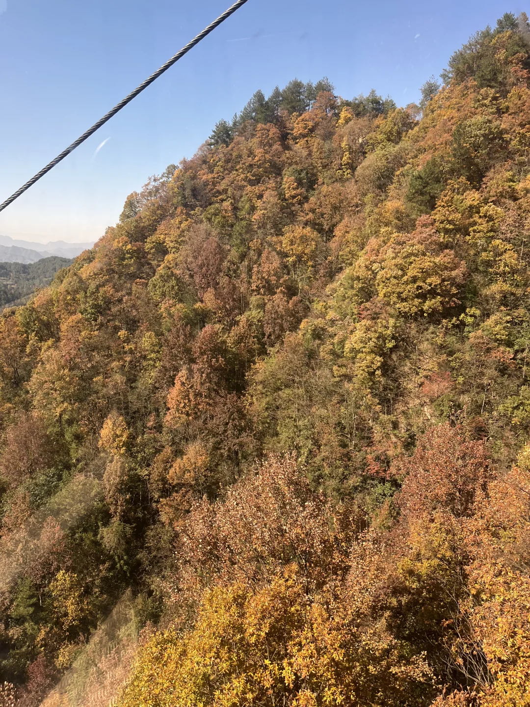 一人2天游玩张家界｜被🐒“抢劫”2次！