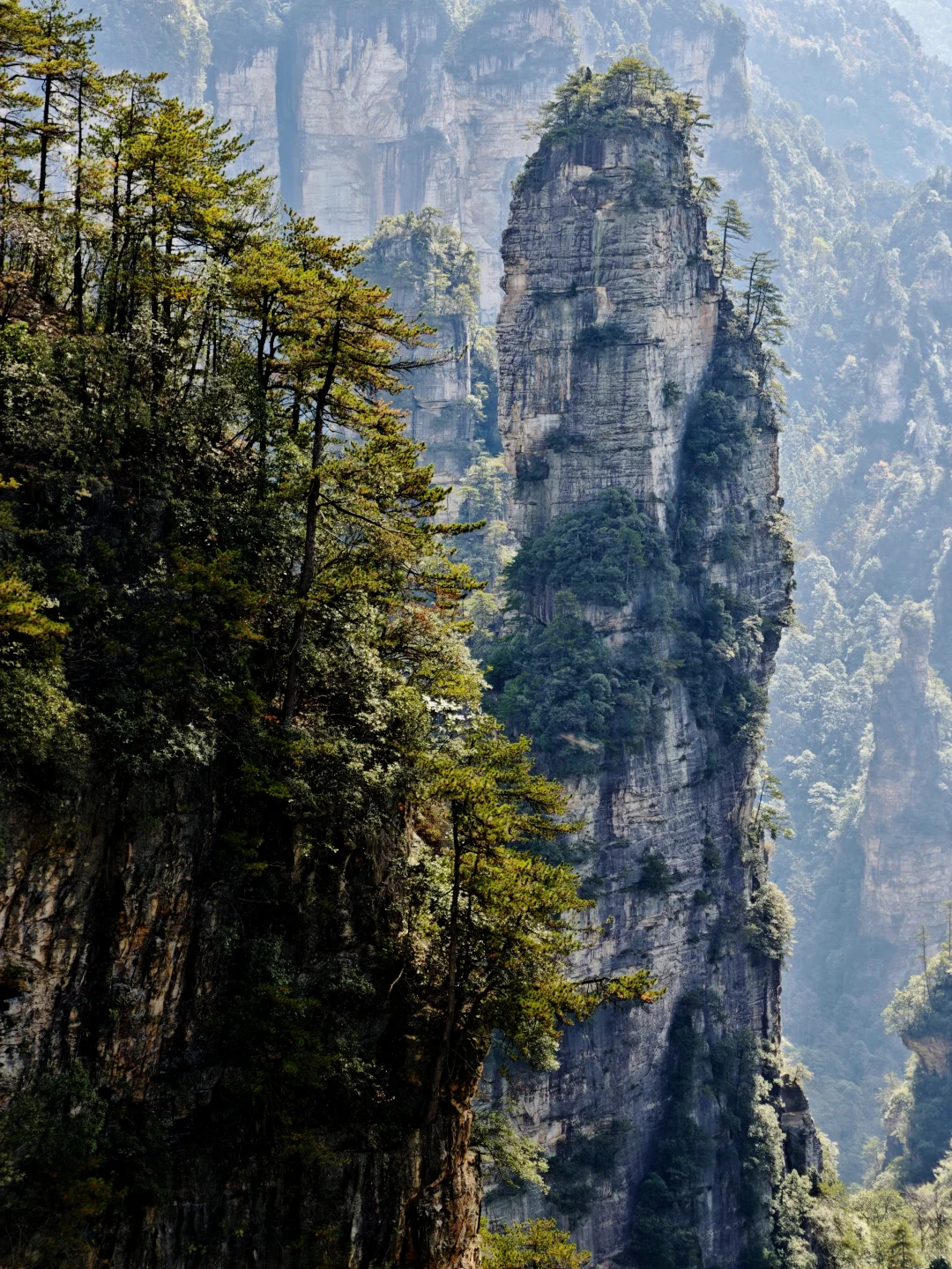 J人P游张家界被宠坏的3天