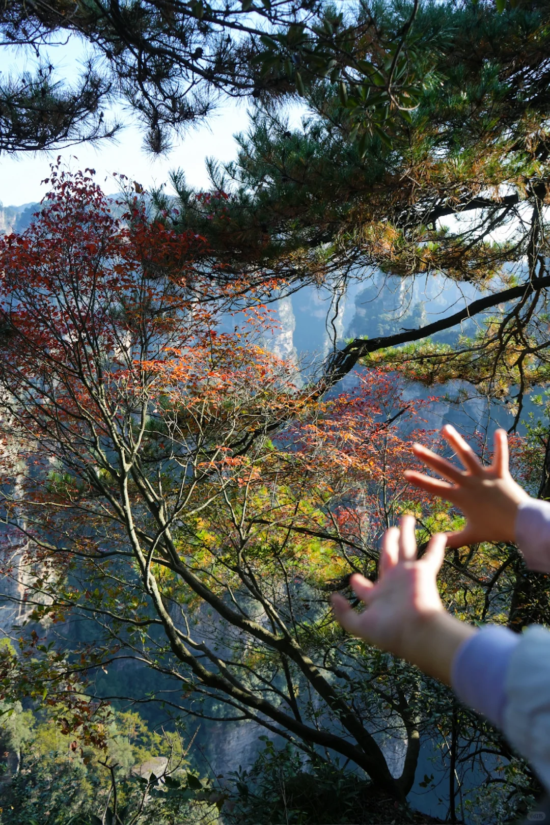 成都高铁2天游张家界！大写的服‼️