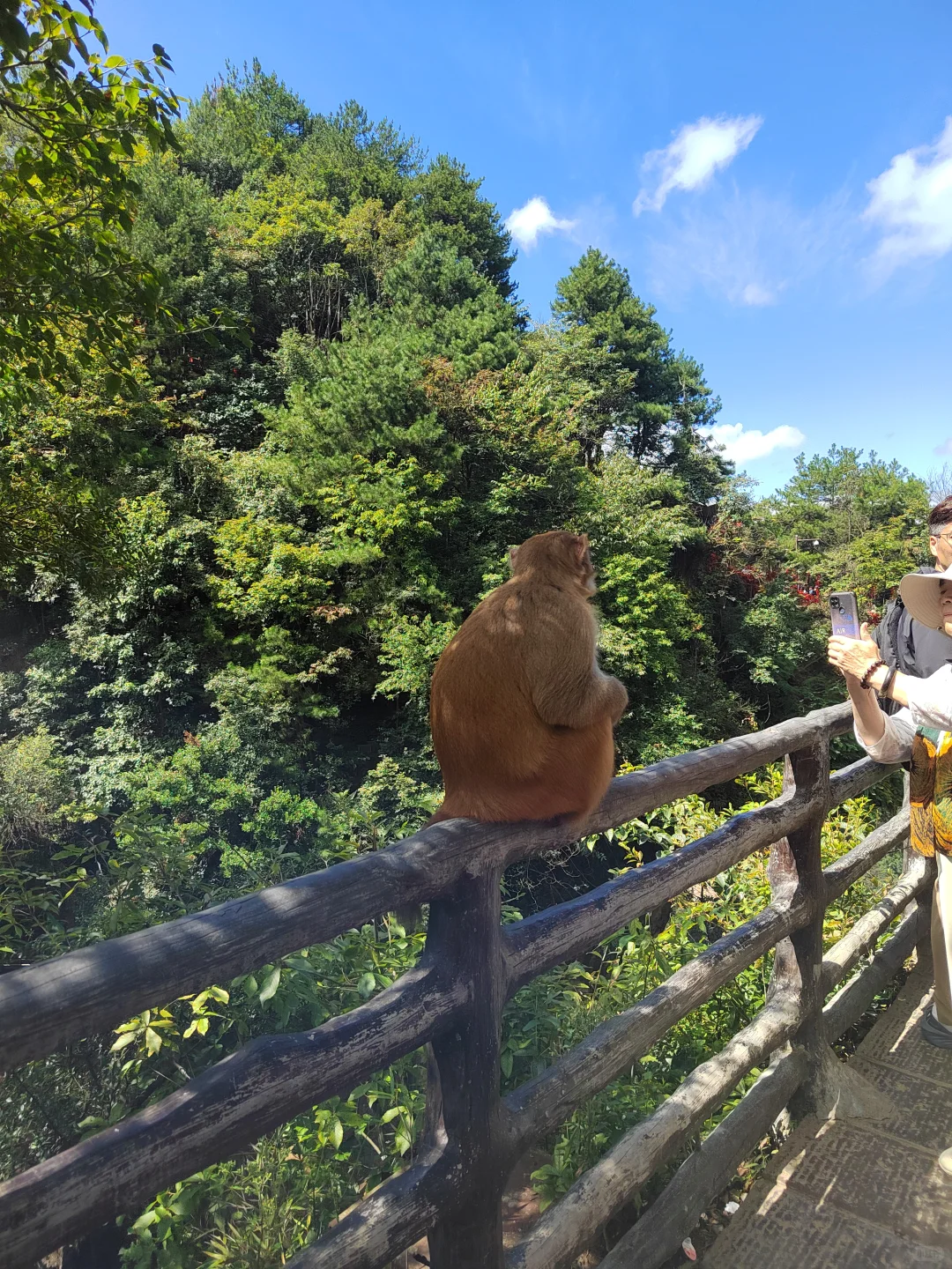 张家界武陵源森林公园两日游之day1