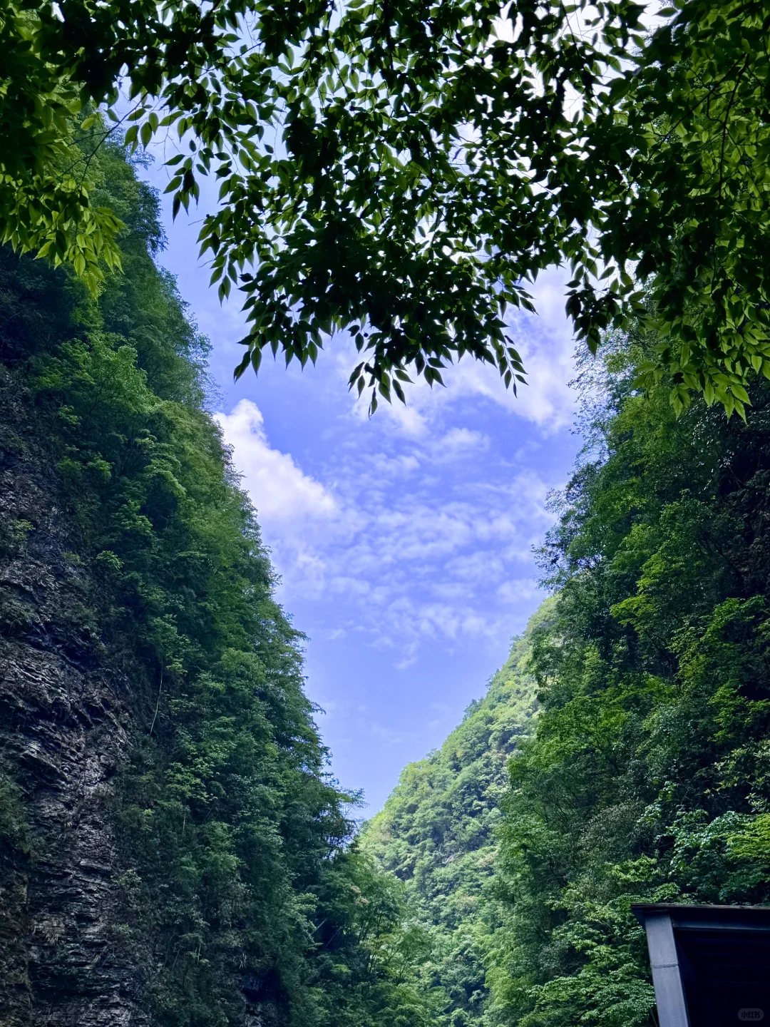 张家界｜大峡谷B线旅游攻略
