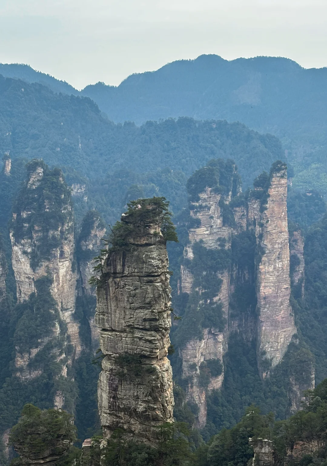 ✅三日搞定张家界+天门山森林公园