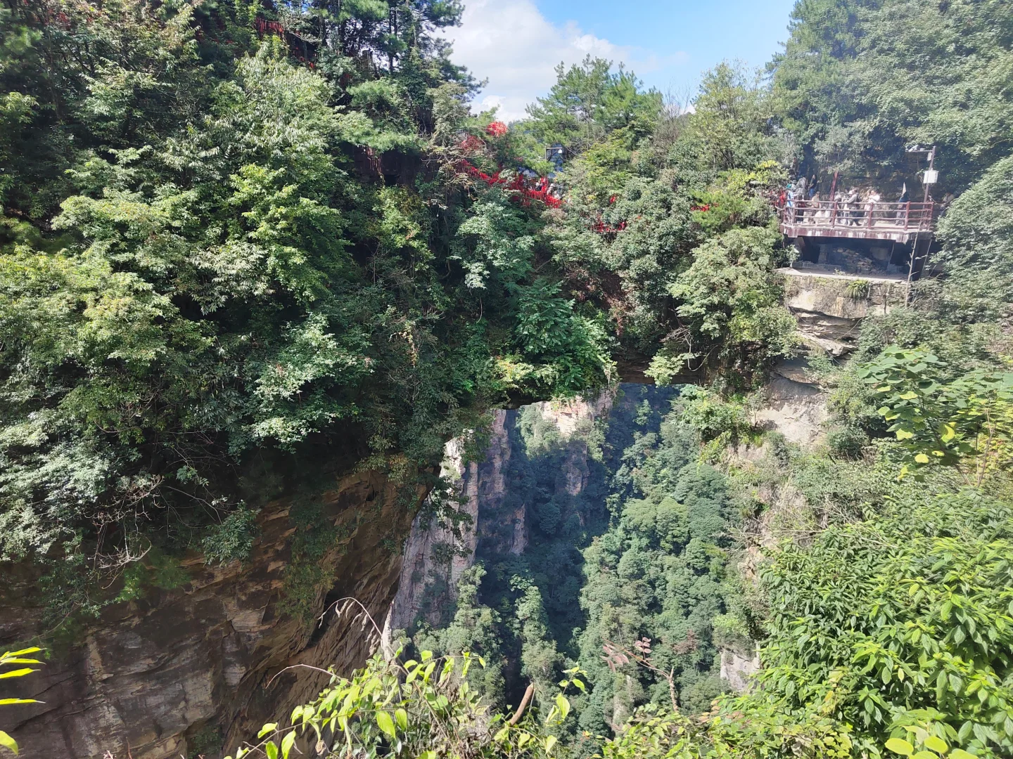 张家界武陵源森林公园两日游之day1