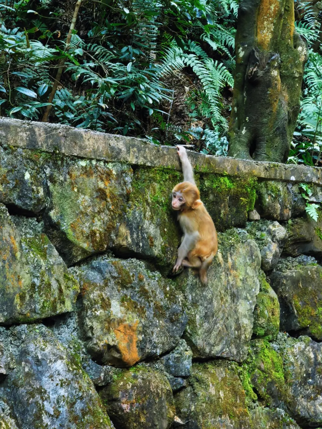 张家界森林公园南门-只看这一篇就够了