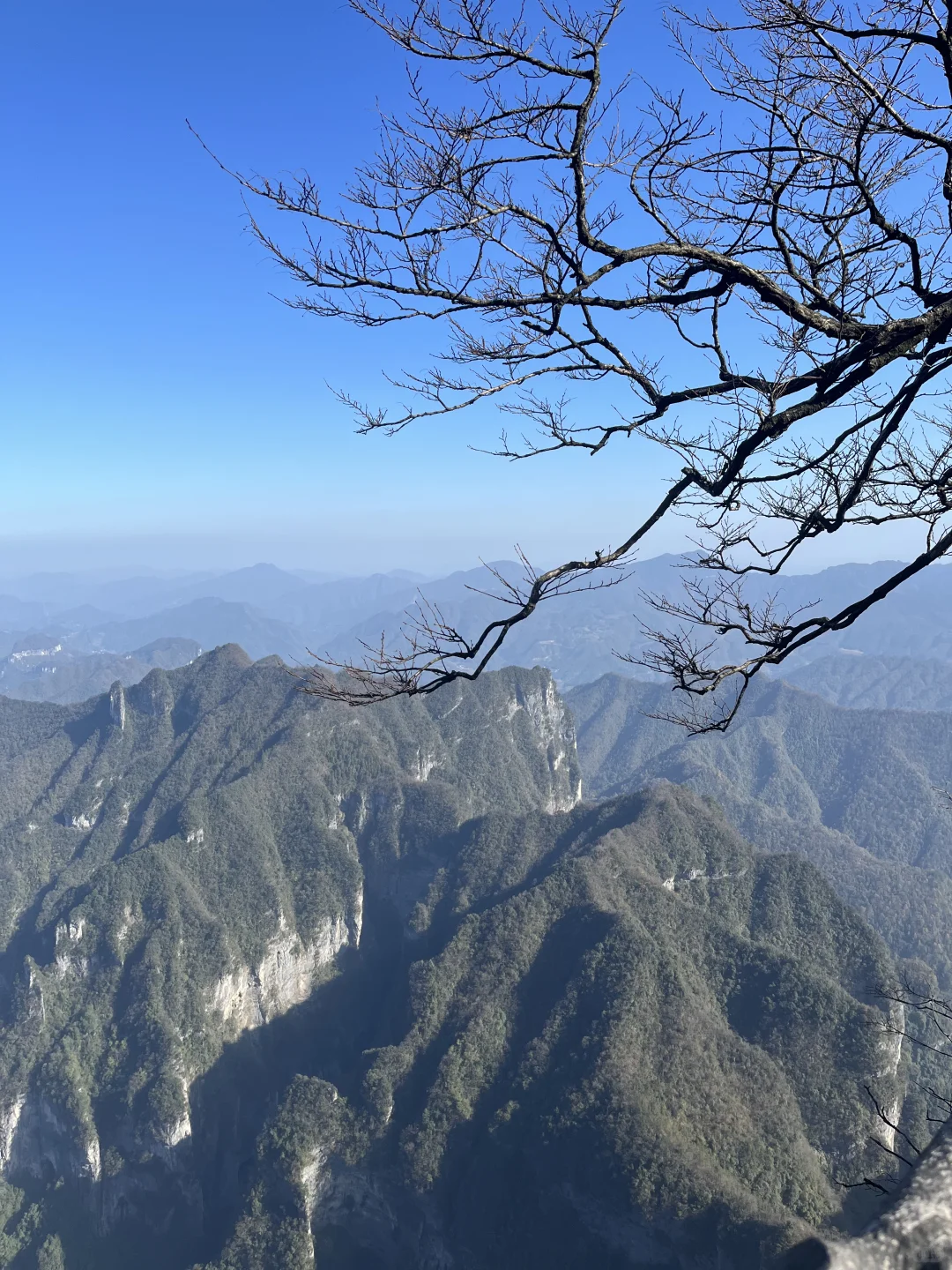 一人2天游玩张家界｜被🐒“抢劫”2次！