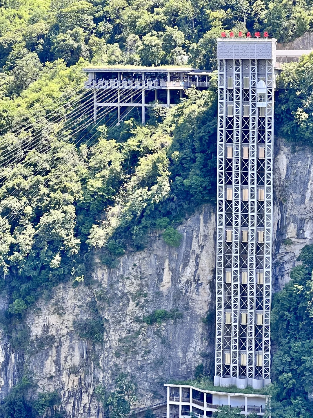 别再问张家界大峡谷值不值得去了！