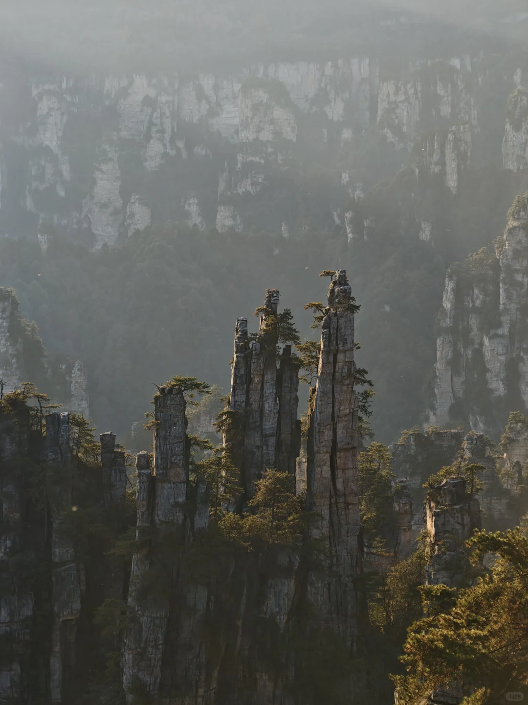 J人P游张家界被宠坏的3天