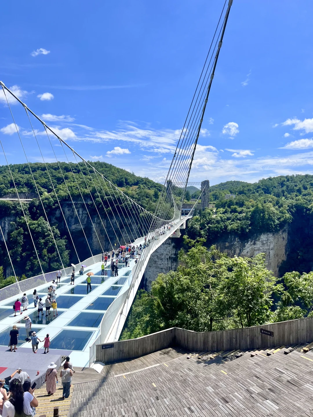 别再问张家界大峡谷值不值得去了！