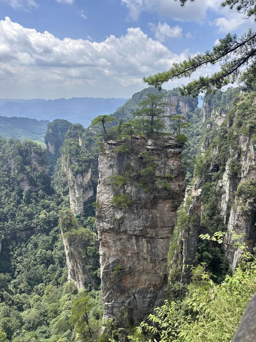 搞清楚这3️⃣个问题再去张家界森林公园❗