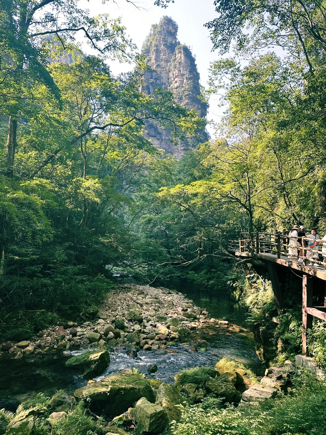 搞清楚这3️⃣个问题再去张家界森林公园❗