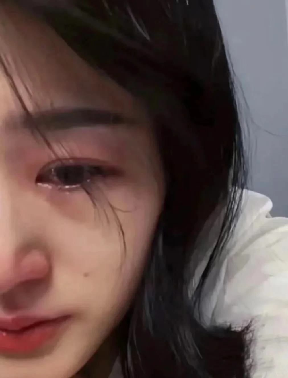 去张家界国家森林公园玩❗结果被坑了一两万