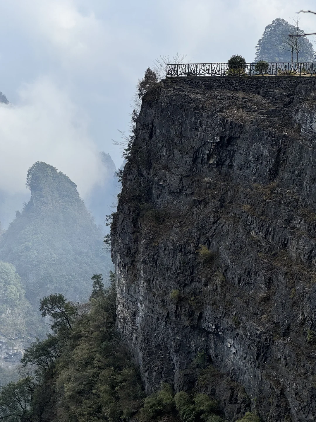 12.13｜张家界🚡看到雾淞版