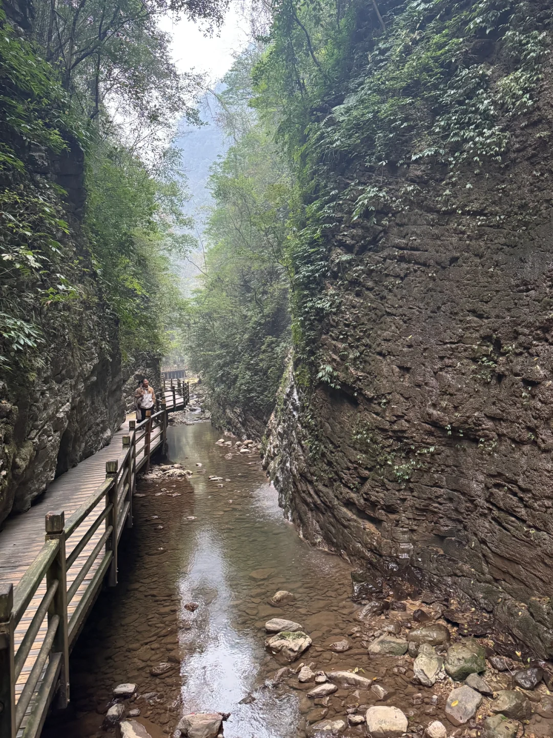 12.12 今天张家界大峡谷，灰蒙蒙的天空