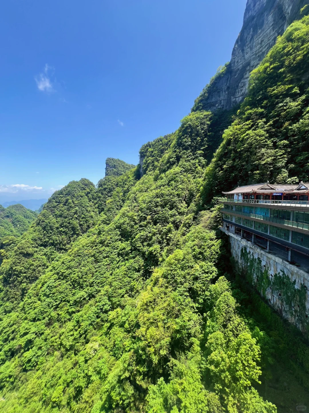 📍张家界｜天门山半日游路线⛰️省力又出片！