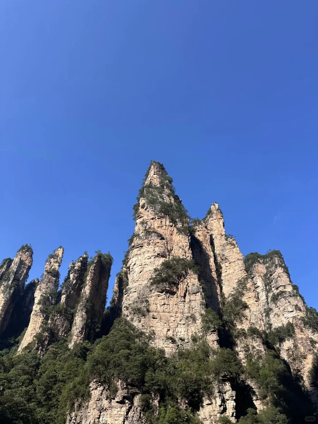 搞清楚这3️⃣个问题再去张家界森林公园❗