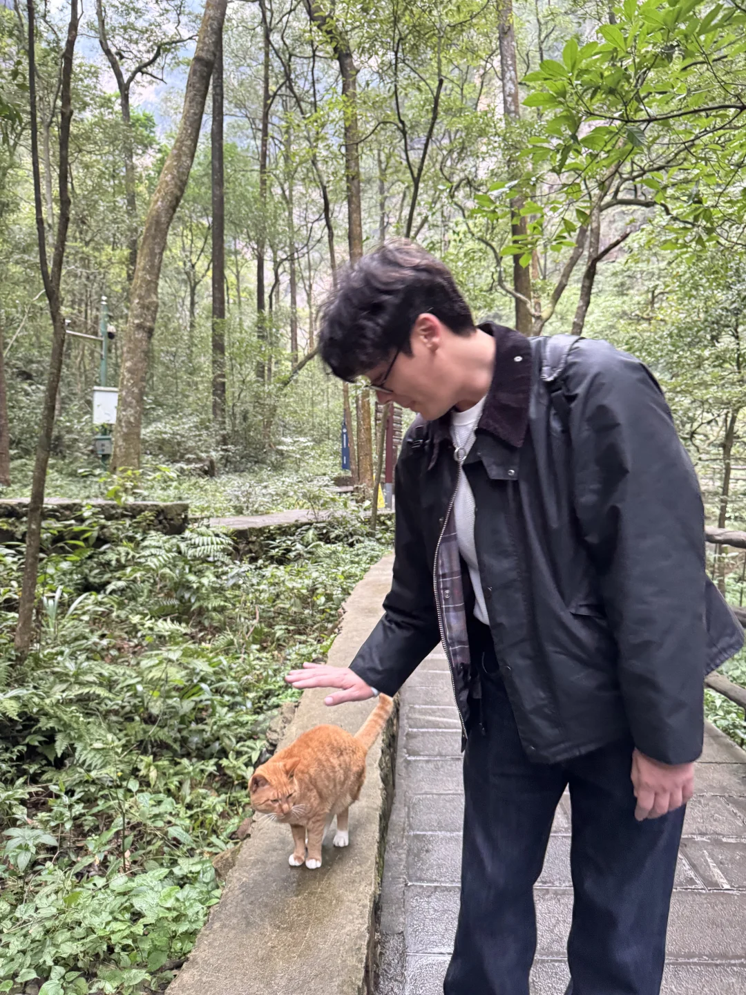 张家界的咪给老外魂都勾走