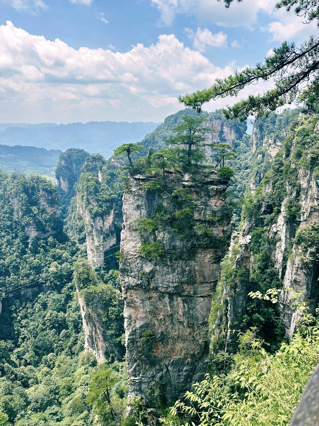 搞清楚这3️⃣个问题再去张家界森林公园❗