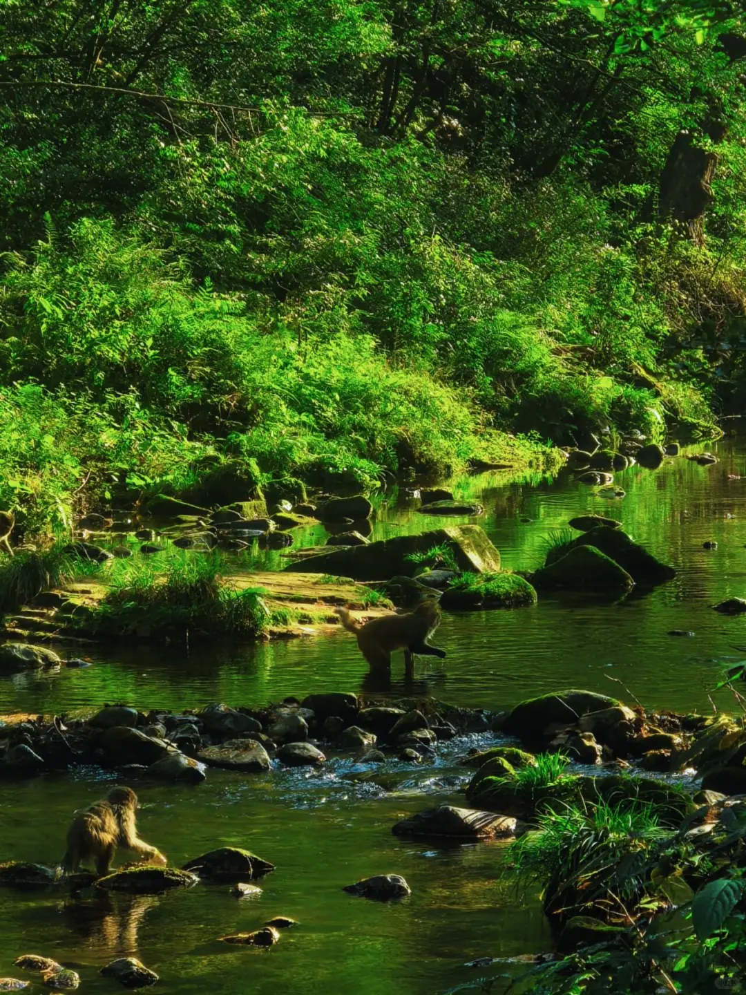 张家界森林公园南门-只看这一篇就够了