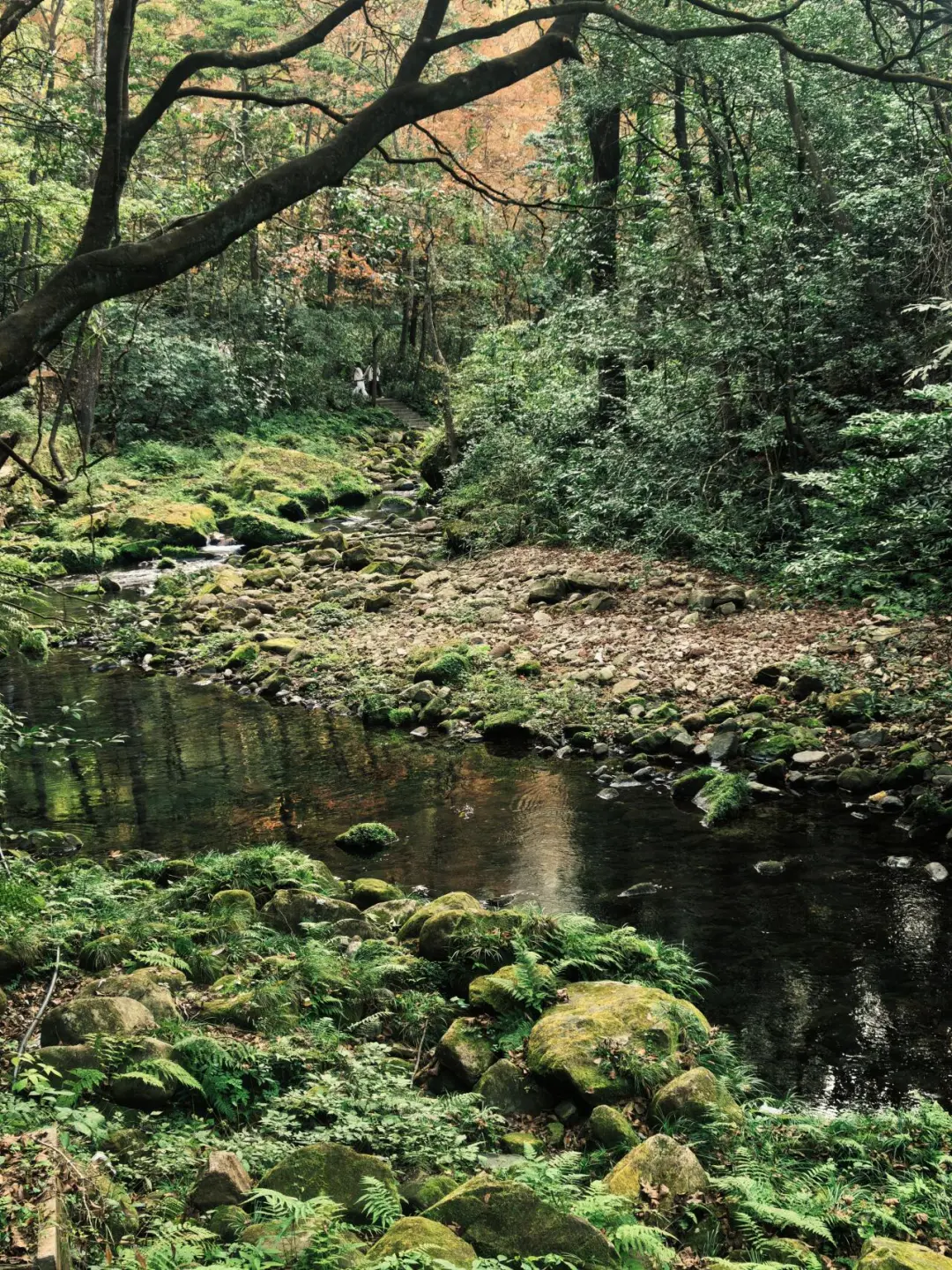 张家界森林公园南门-只看这一篇就够了