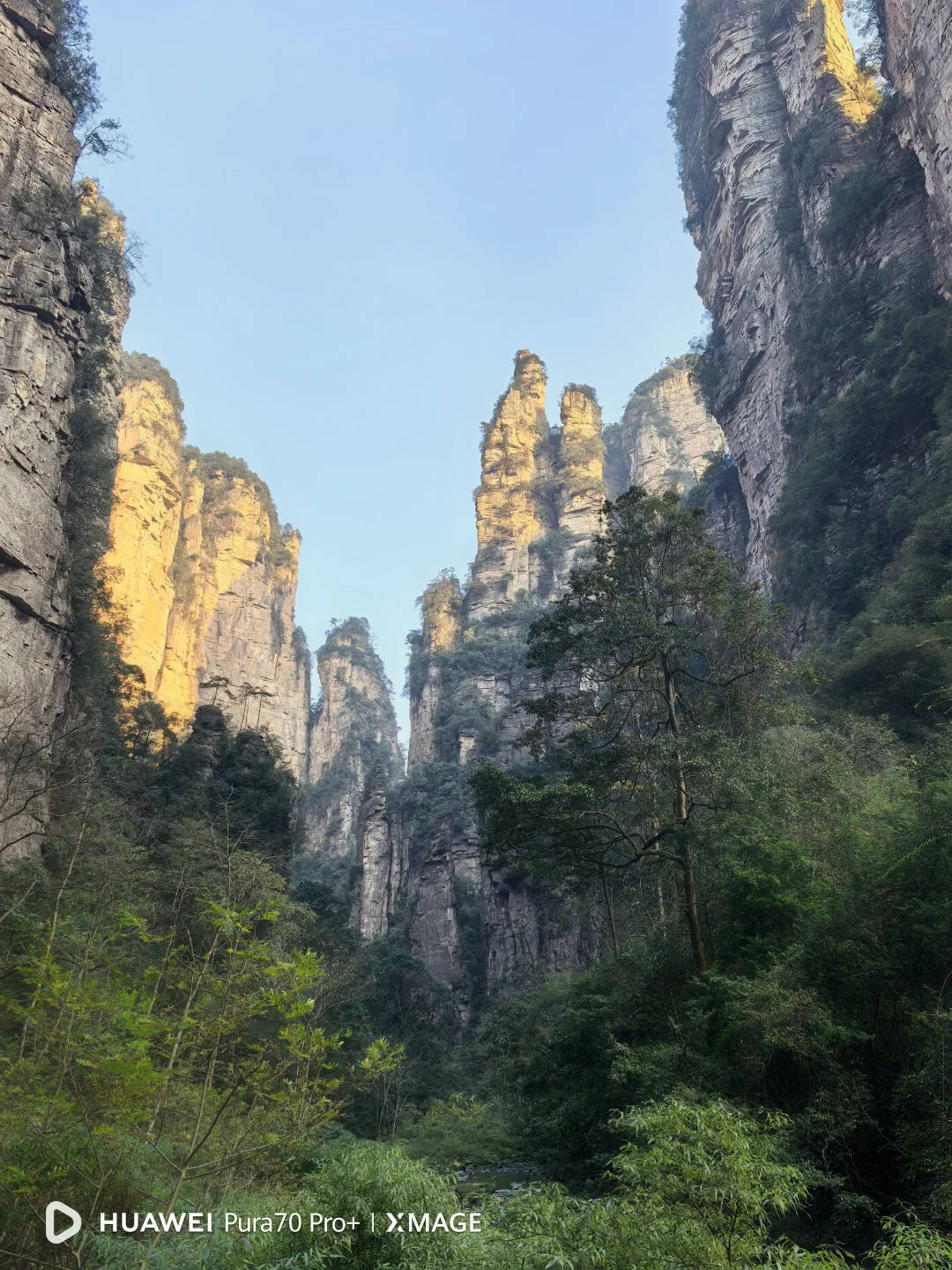 为什么张家界的西方游客比九寨沟多？