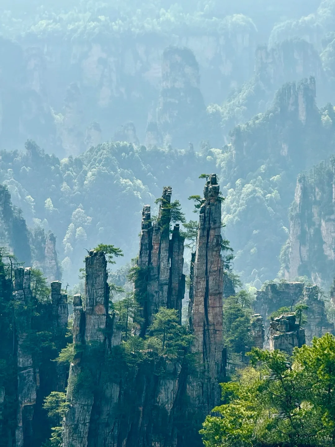 去张家界跟这种车的团，太舒适啦！