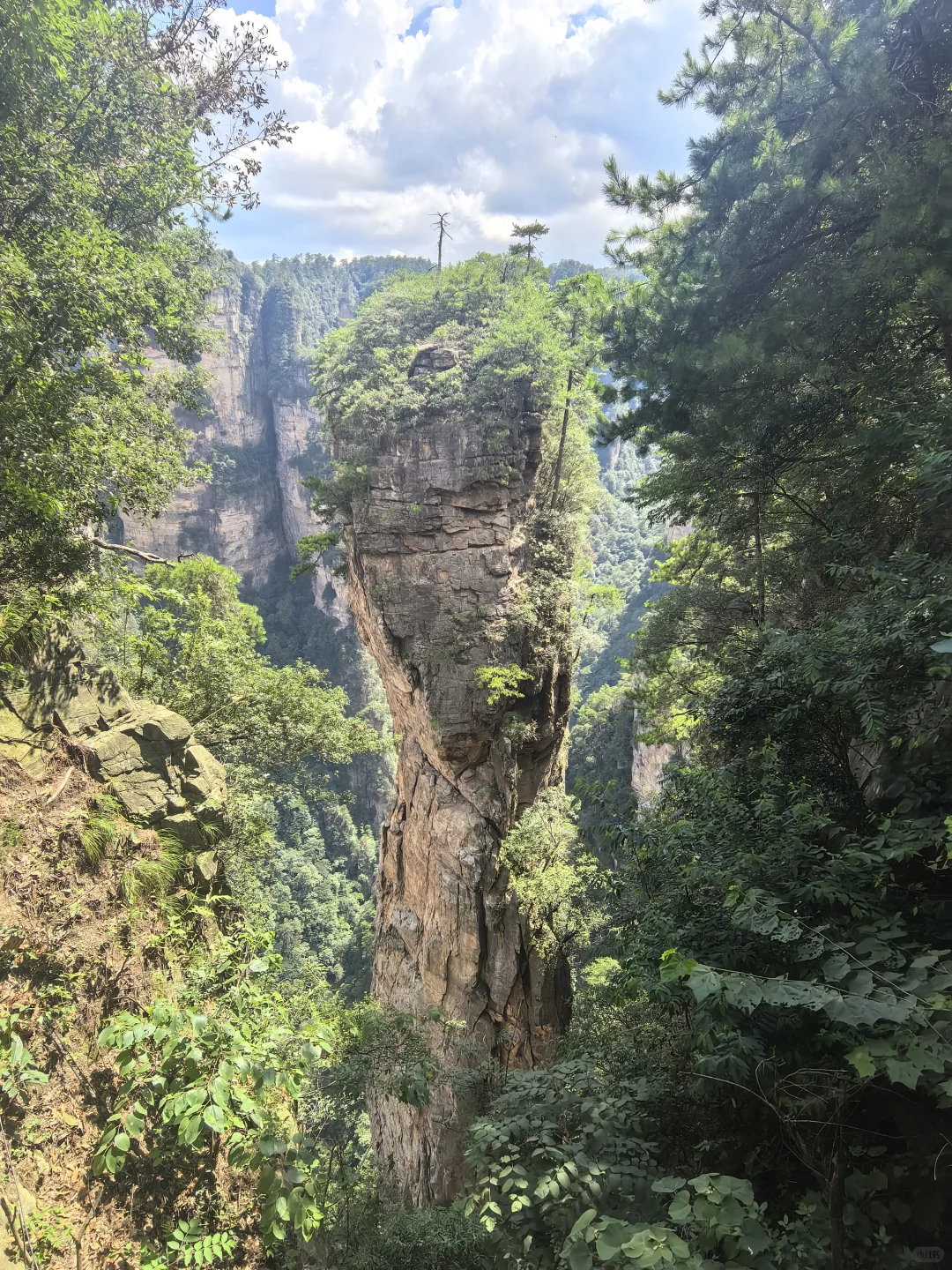 张家界暴雨后,我被自然深深“看见”