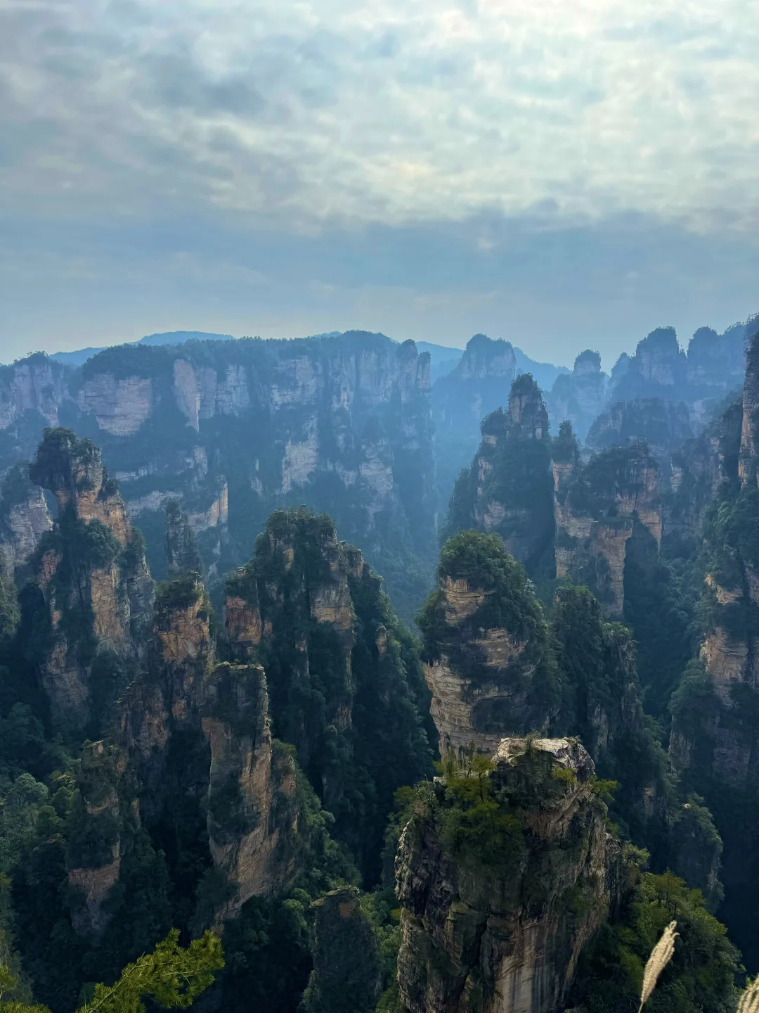 张家界｜📸打卡现实版“阿凡达世界”