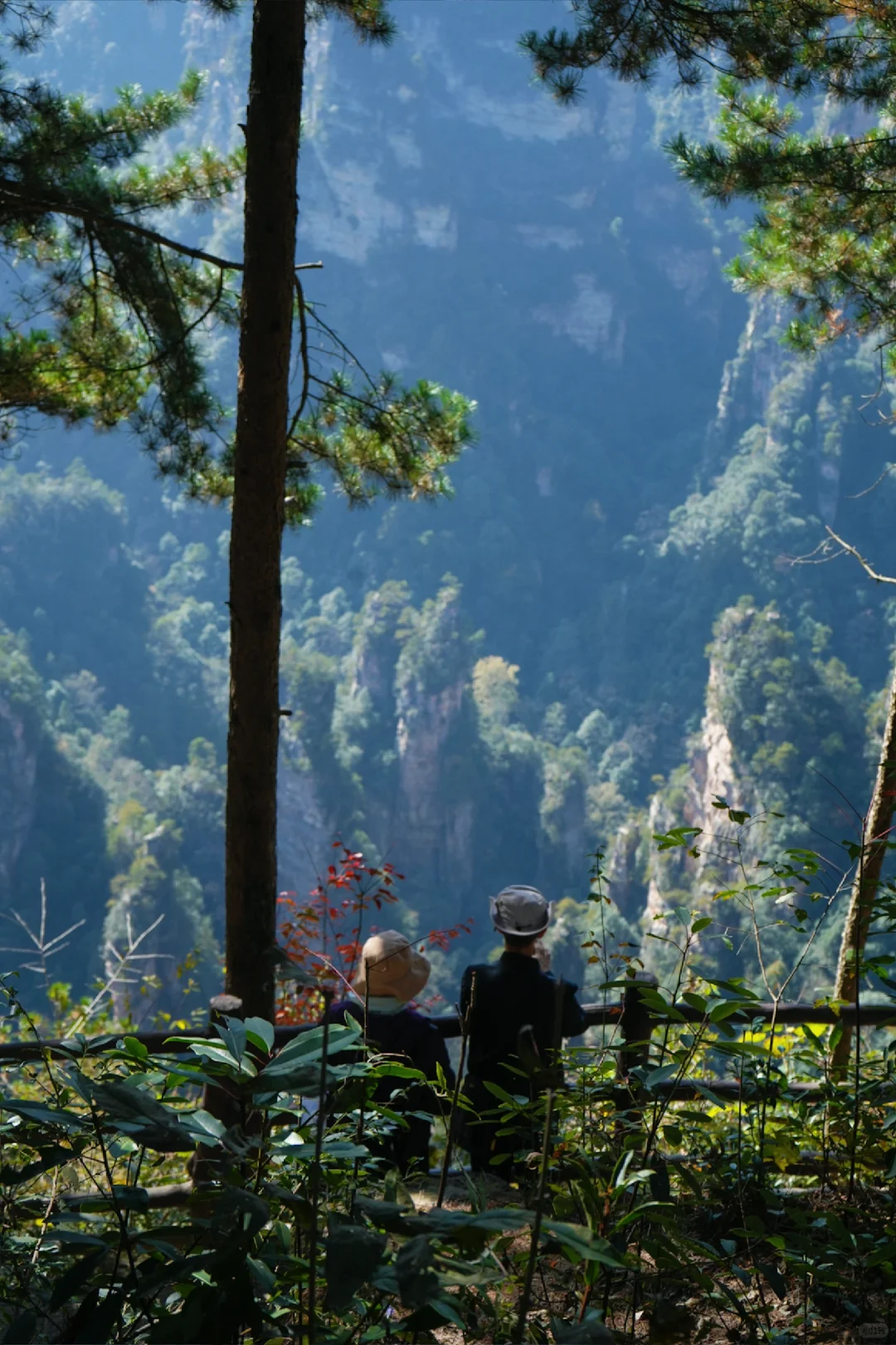 成都高铁2天游张家界！大写的服‼️