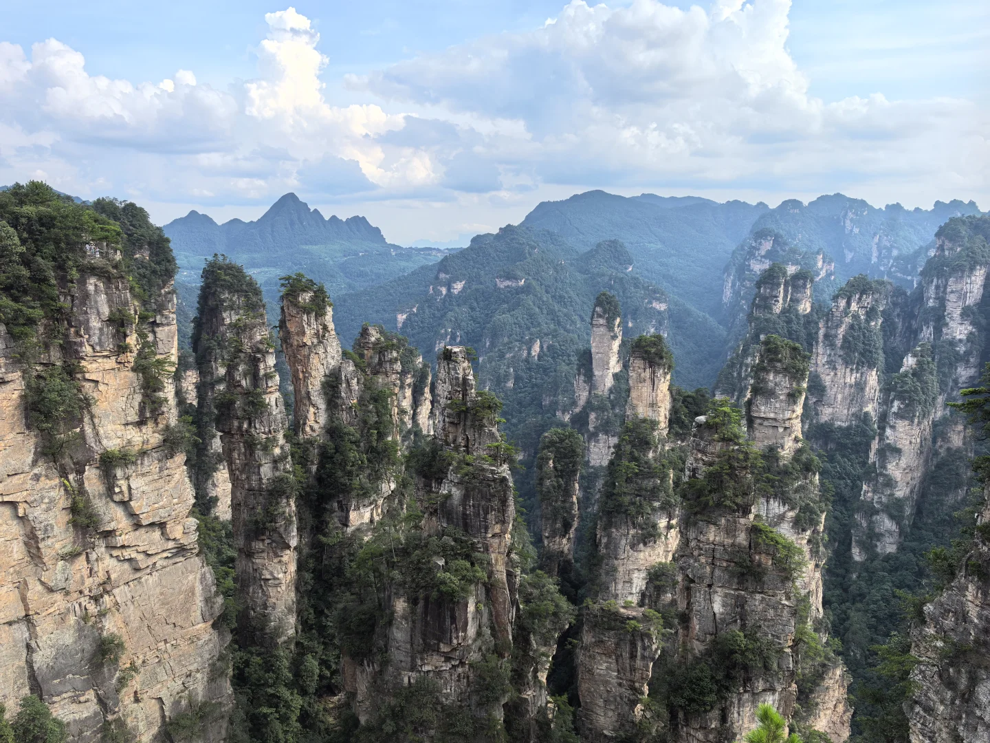 张家界暴雨后,我被自然深深“看见”