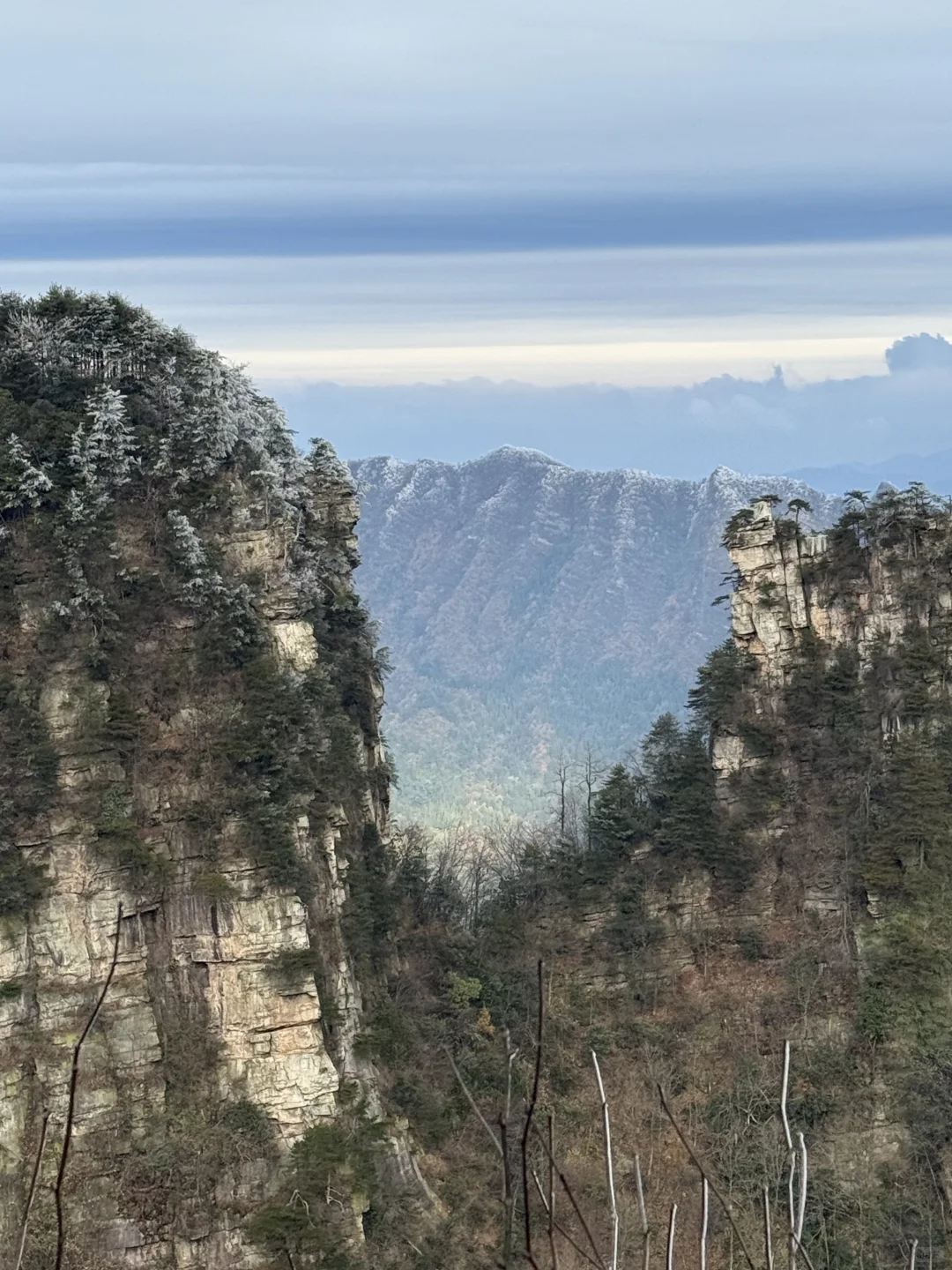 11月18日张家界雾凇