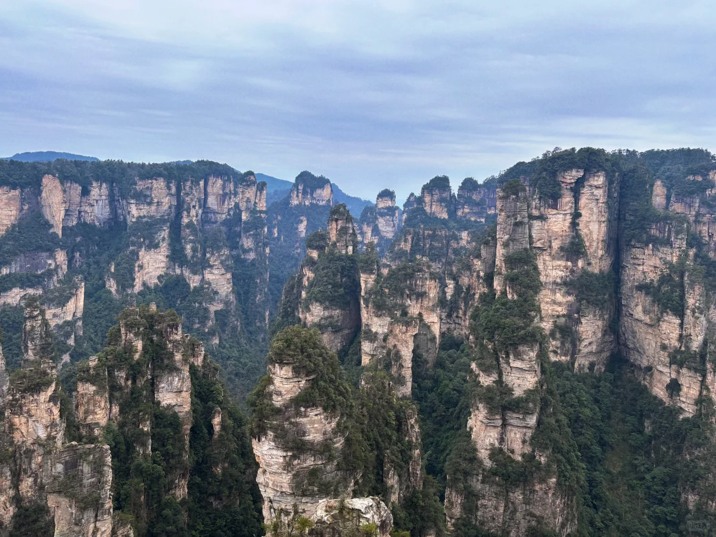 ✅三日搞定张家界+天门山森林公园