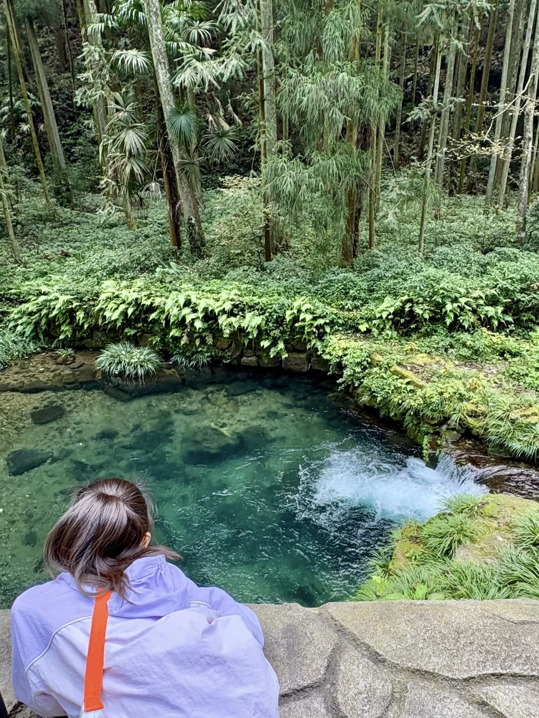 重庆出发周末2日游｜带娃徒步国家森林公园