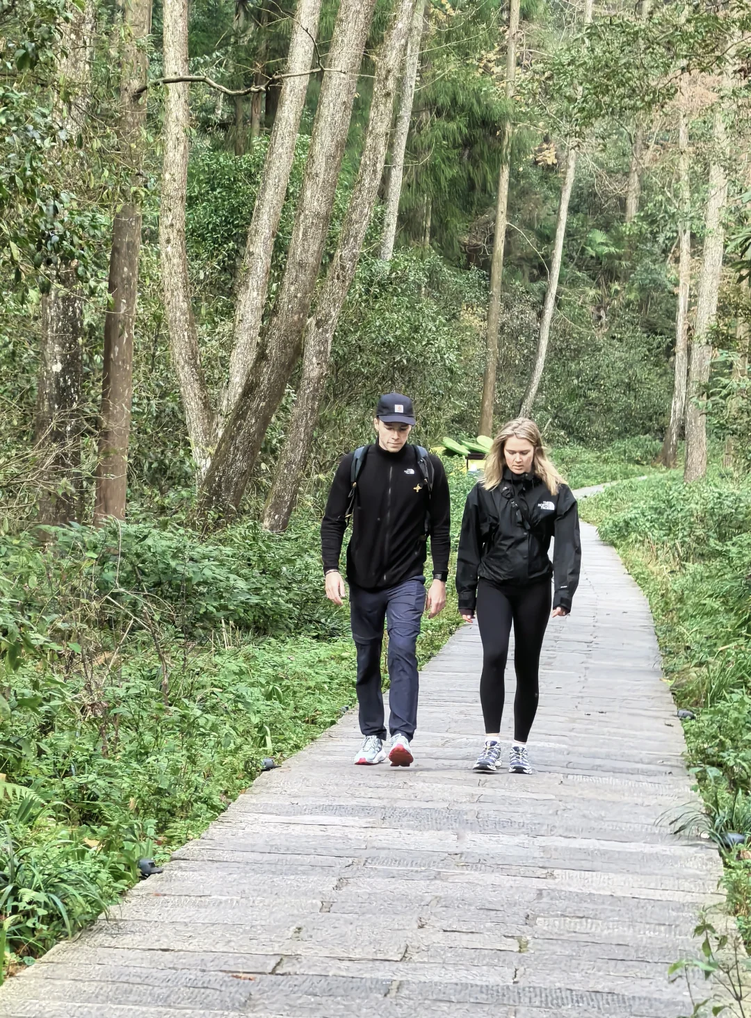 为什么张家界的西方游客比九寨沟多？