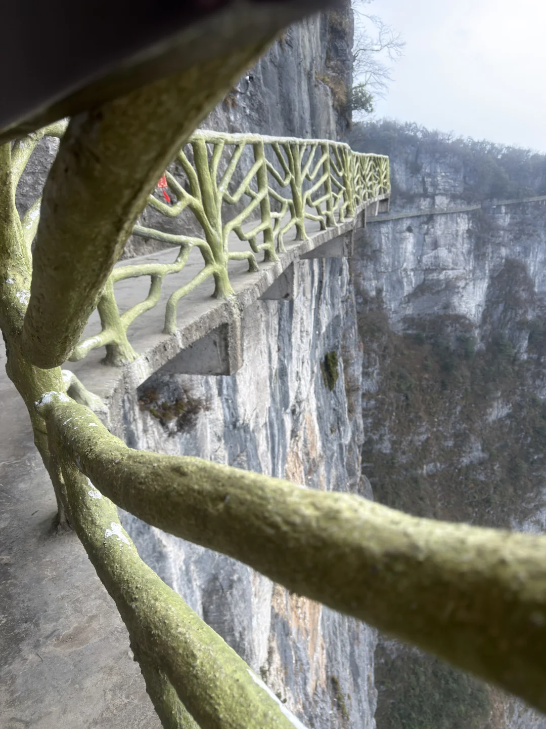 张家界游天门山和森林公园