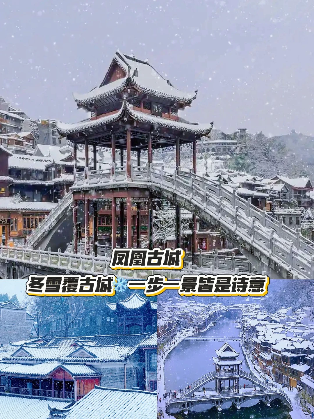 第一次来张家界的⛰️可以直接收藏这篇。。