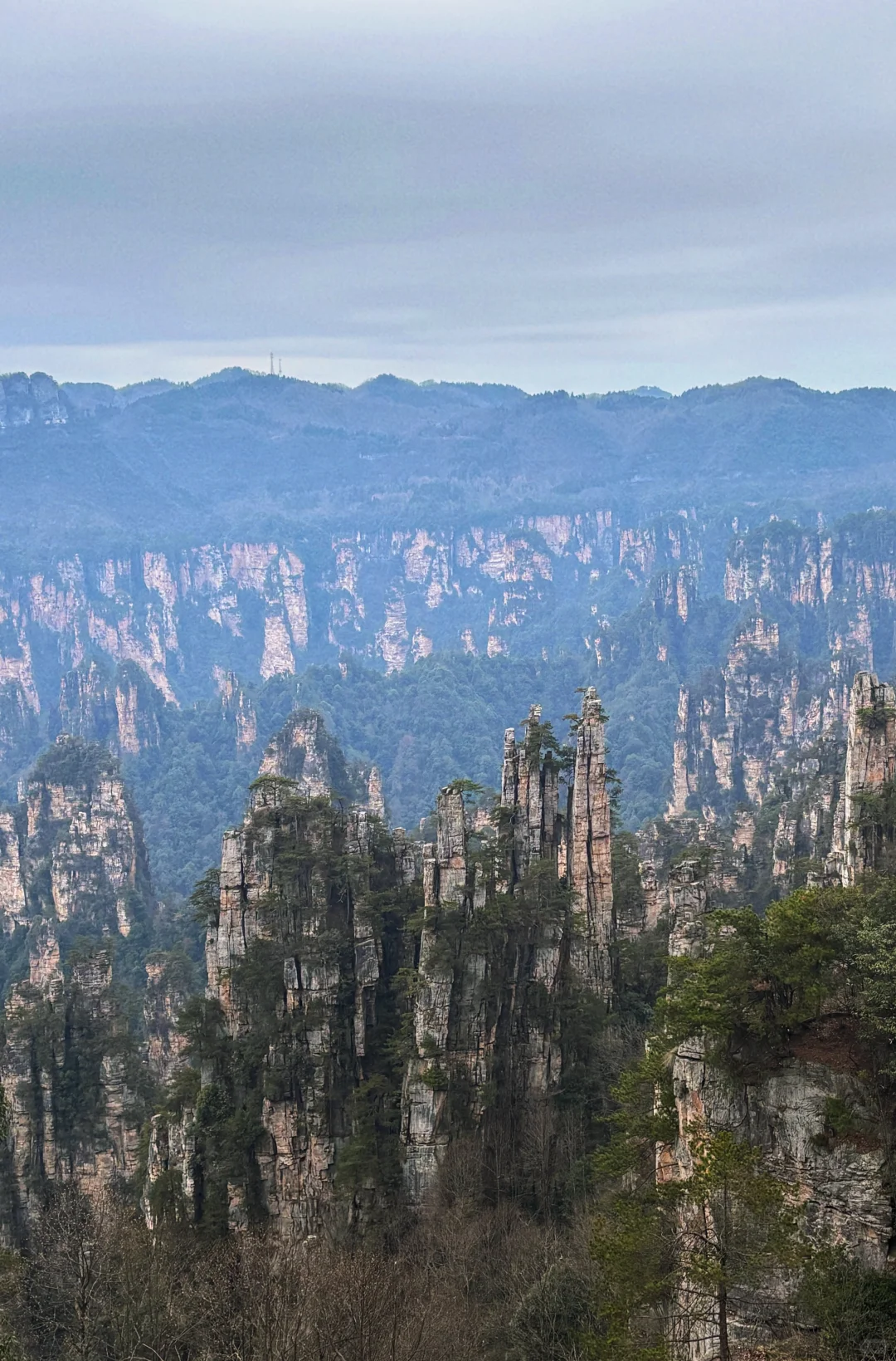 ✅三日搞定张家界+天门山森林公园