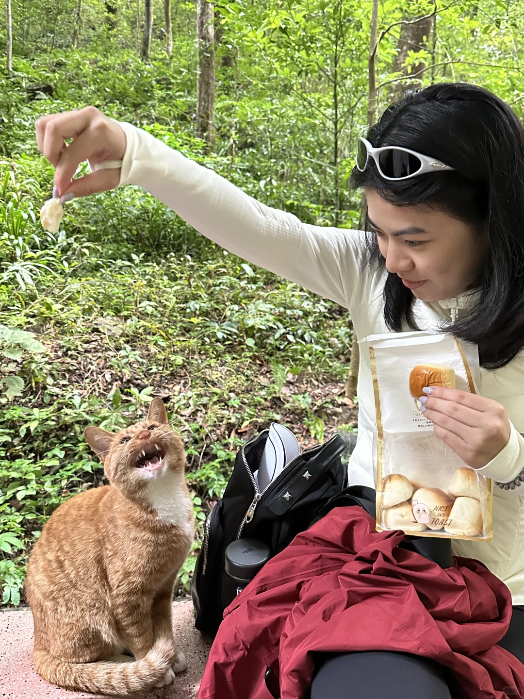 张家界的咪给老外魂都勾走