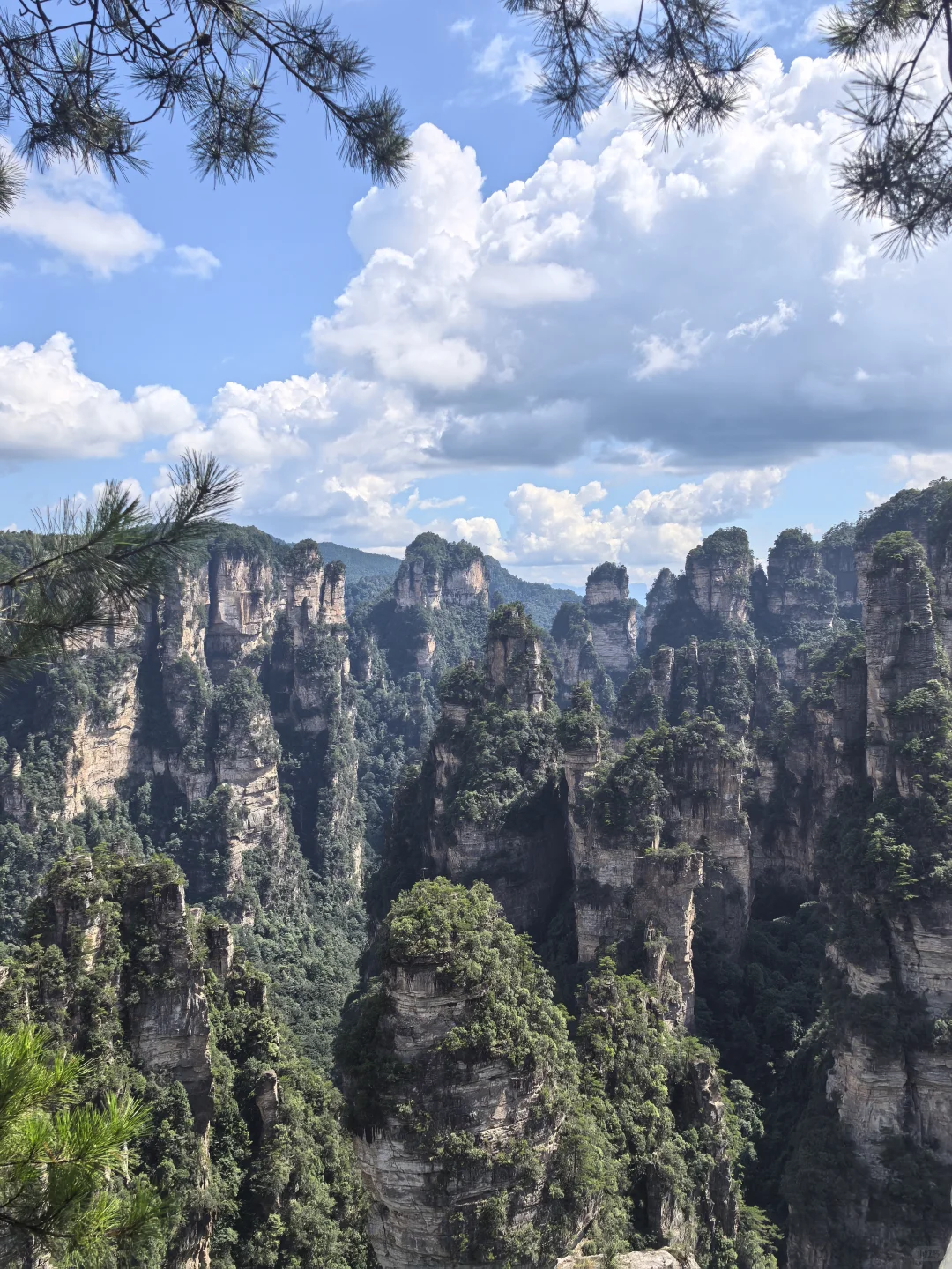 张家界暴雨后,我被自然深深“看见”