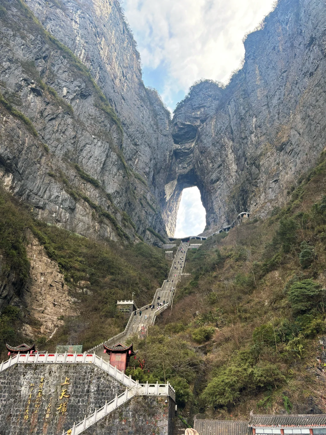 ✅三日搞定张家界+天门山森林公园