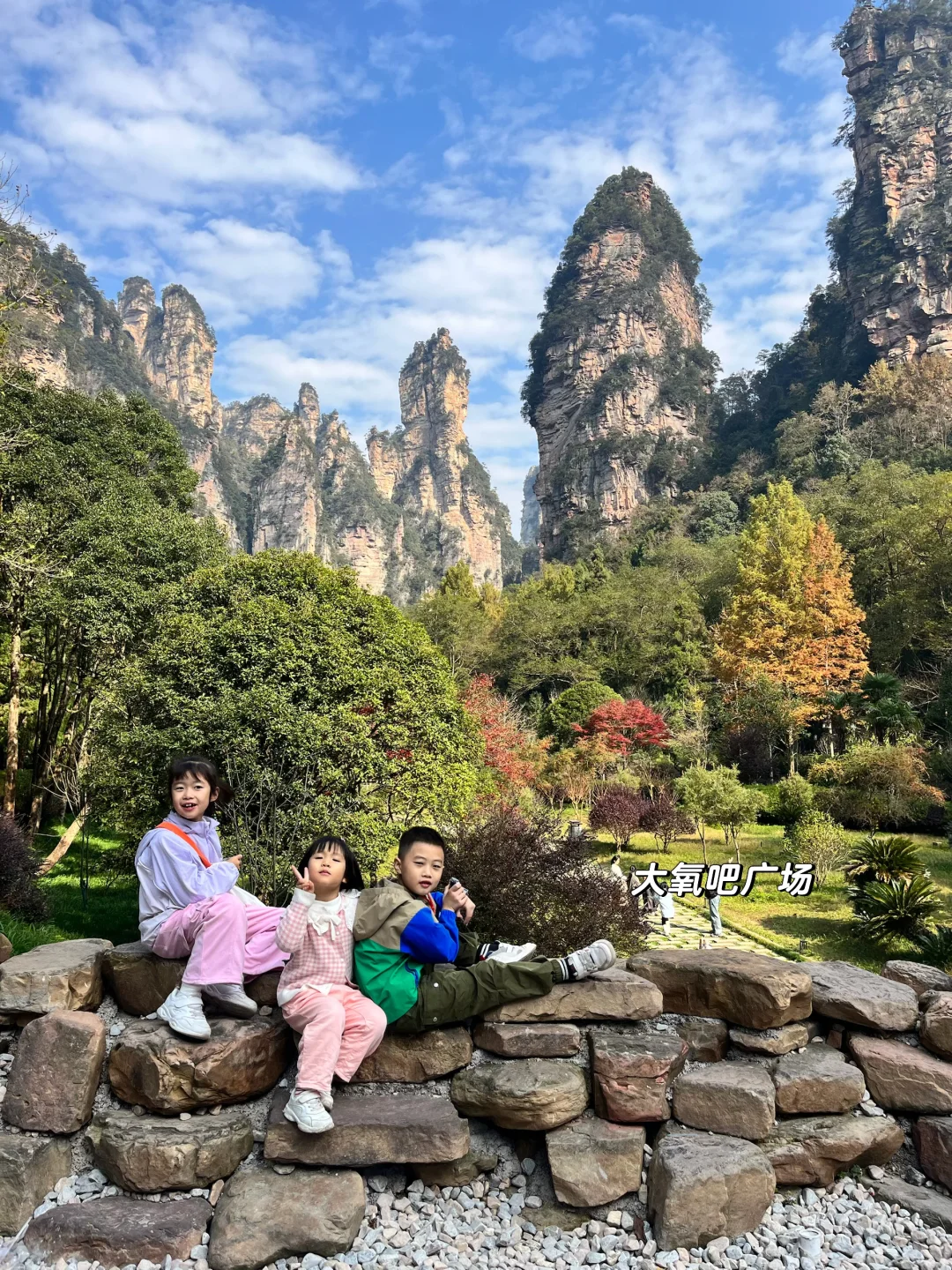 重庆出发周末2日游｜带娃徒步国家森林公园