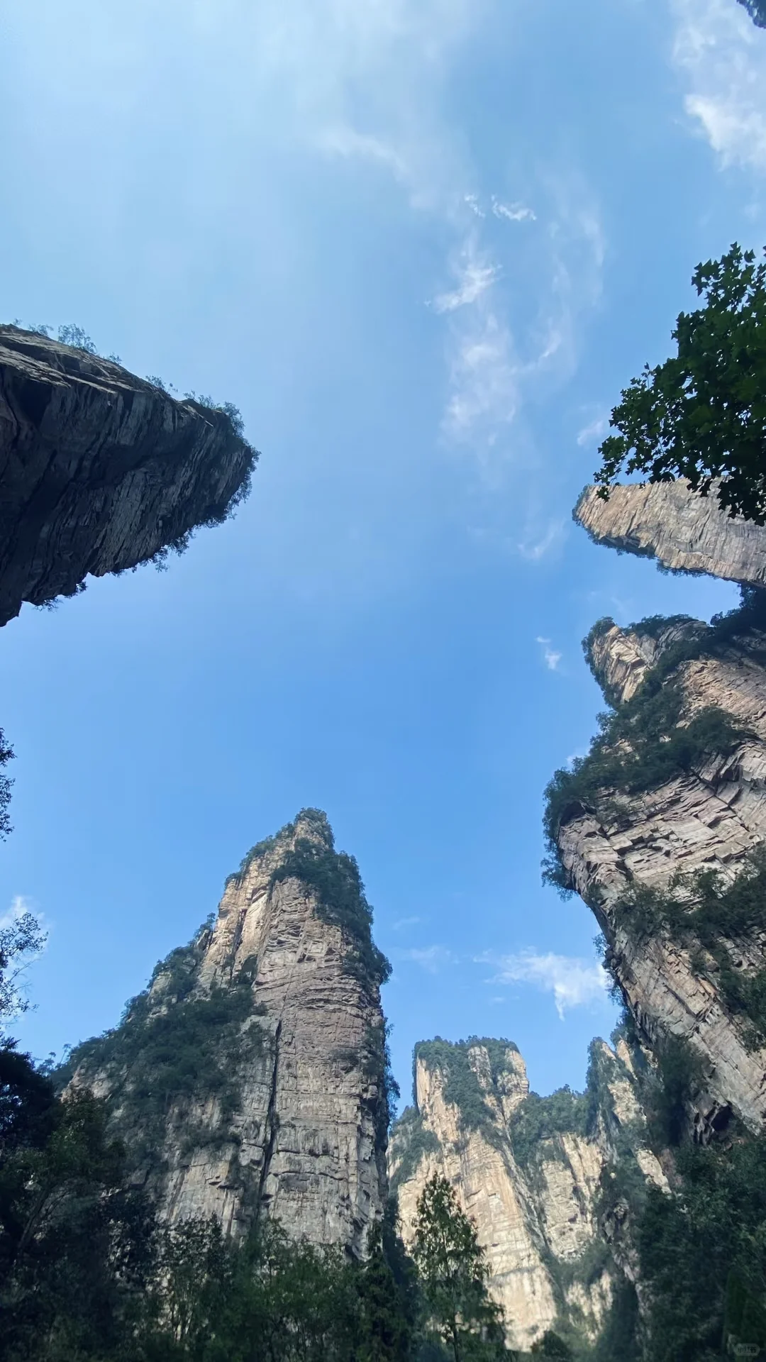 搞清楚这3️⃣个问题再去张家界森林公园❗