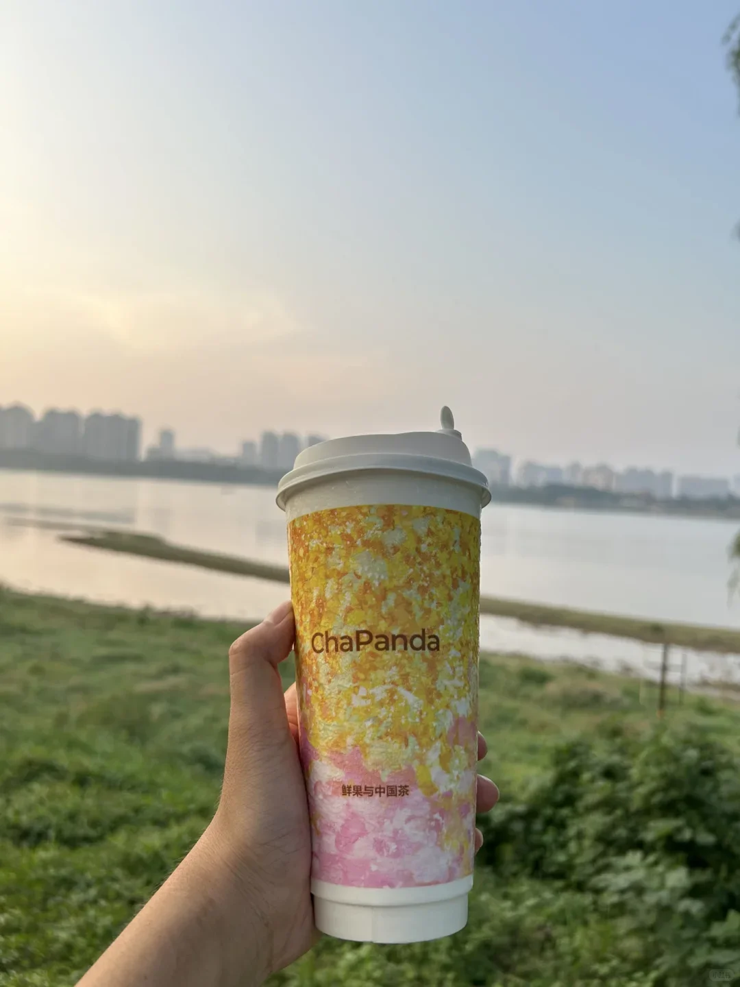 感觉是目前常德奶茶里我近期最爱喝的！！