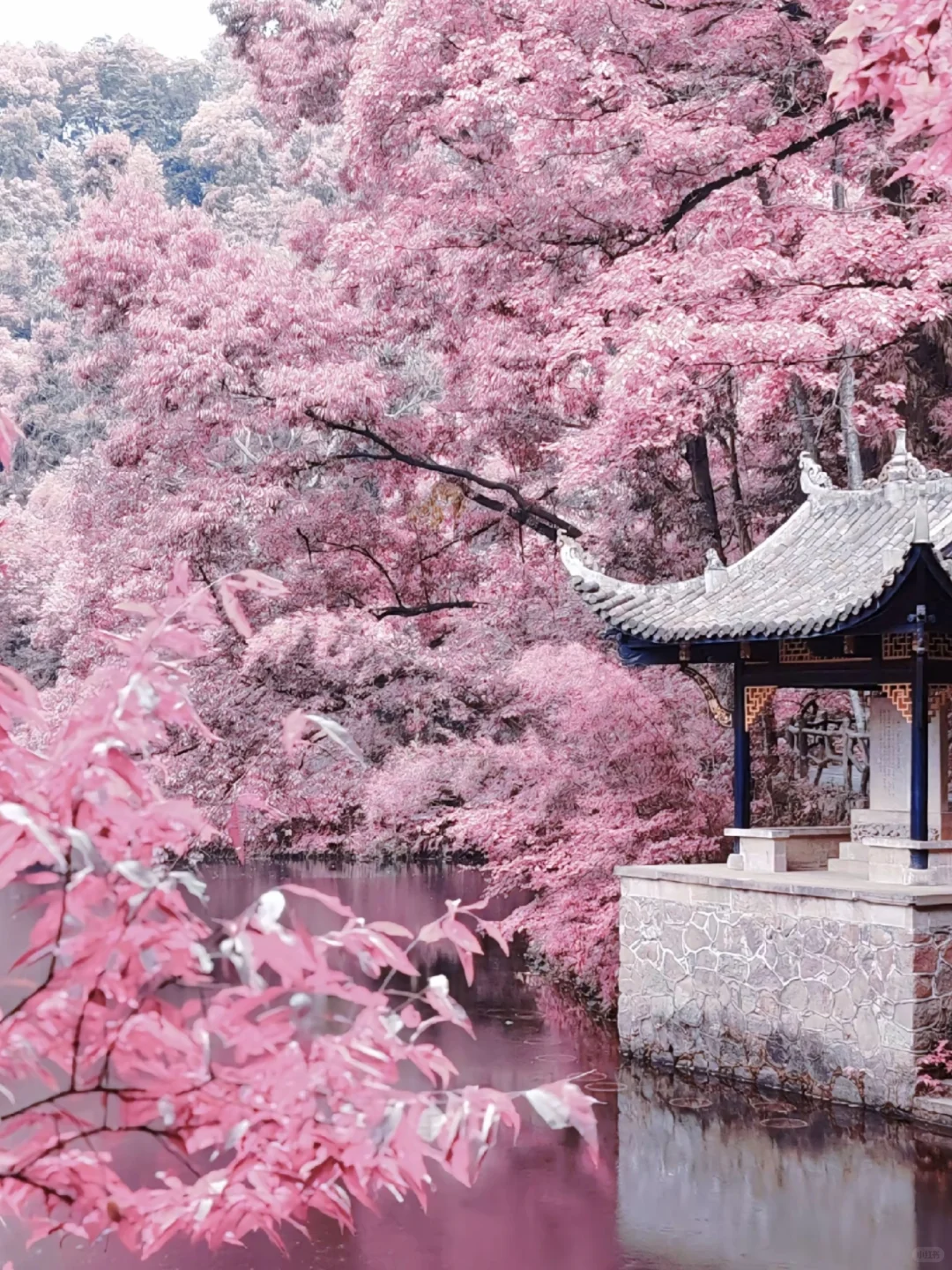 🌸长沙出发1h！常德桃花源小众秘境攻略