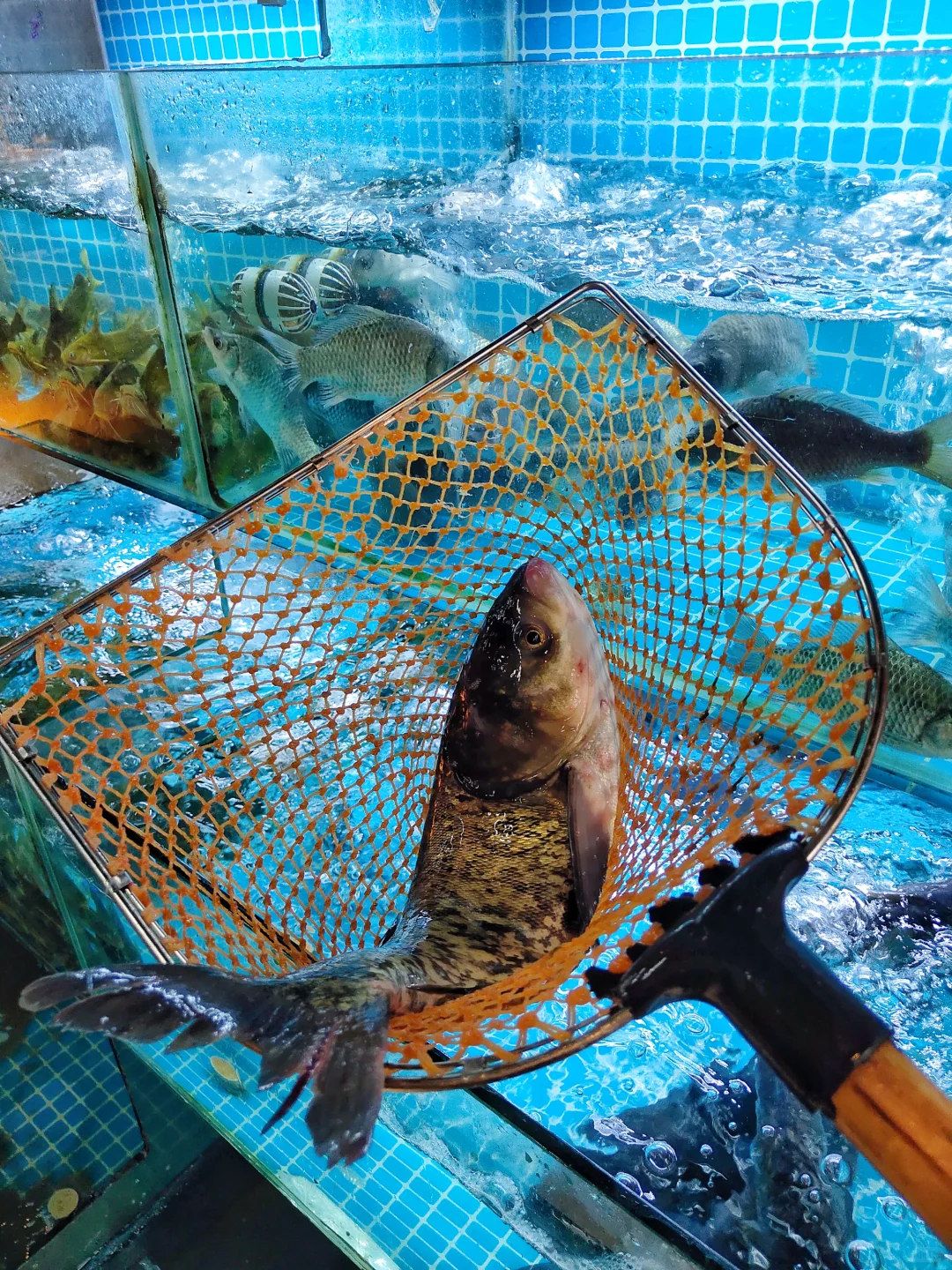 长沙！藏在巷子里的打工人社区食堂…