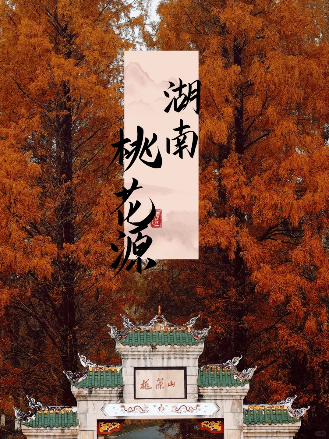 后悔没早点来！这次桃花源记我终于读懂了