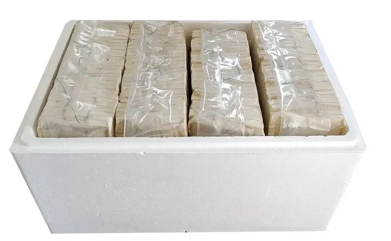 长沙臭豆腐生胚半成品，正宗湖南味来🍃