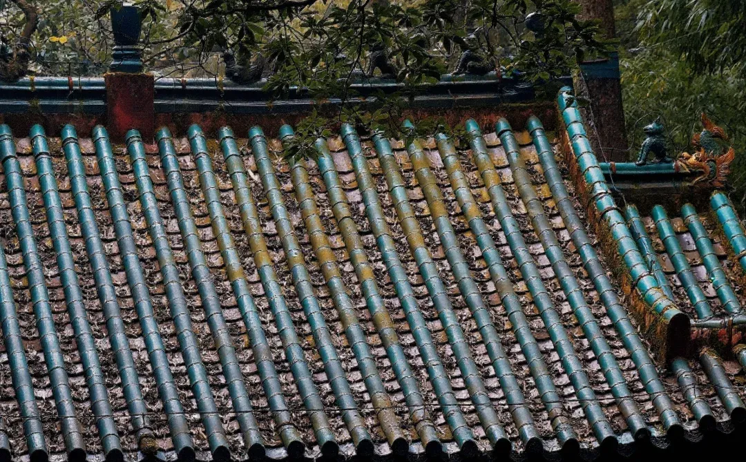 后悔没早点来！这次桃花源记我终于读懂了