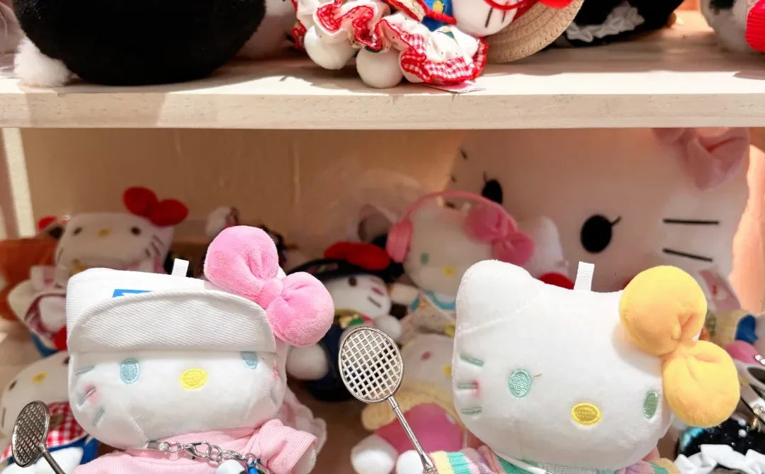 常德下雪啦❄️和同事姐姐吃kitty饭